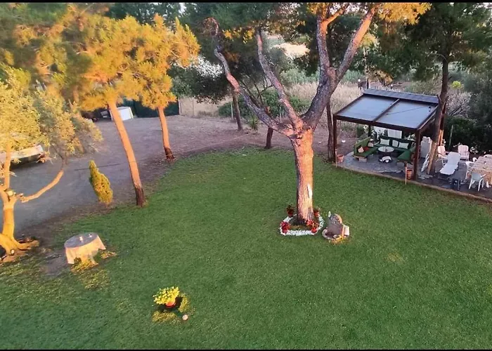 Golden Summer Apartment